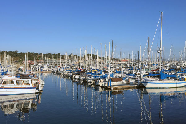 Marina with various boats